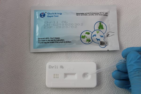 Ehrlichia canis test rápido 5 unidades