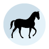 Icono Caballo