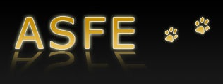 Captura de pantalla 2024-11-07 142019 Logo ASFE