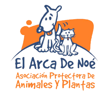 Logo_El_Arca Log El Arca de Noe
